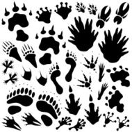 Alien monster footprints