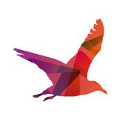 Abstract Bird N4