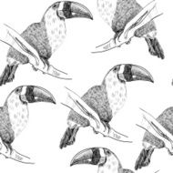 Parrot N31