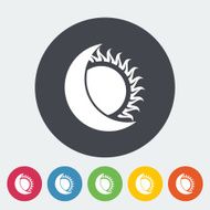 Solar eclipse single icon N4