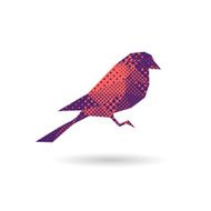 Bird abstract isolated on a white backgrounds vector illustration N4