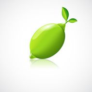 Lime fruit icon