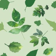 Leaves N121