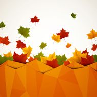 Vector autumn leaves N24