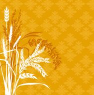 Cereal plants background