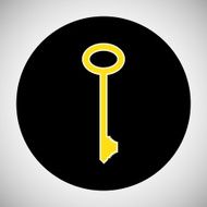 Key Icon N29