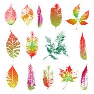 Leaf silhouette collection foliage set N7