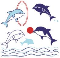 dolphin N15