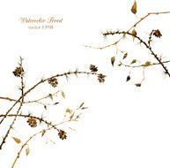 watercolor branches of larch N4