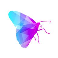 Gem Butterfly