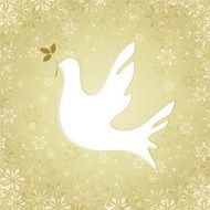 dove N18
