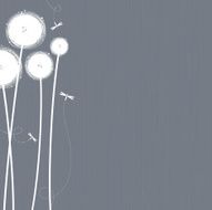 Pom Poms N2