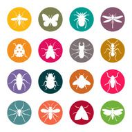 Insects N10