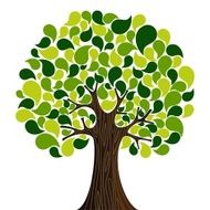 Abstract spring time tree