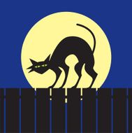 Halloween Alley Cat