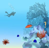 Coral reef - 2