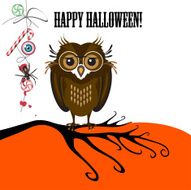 Halloween with cute owl on a branch