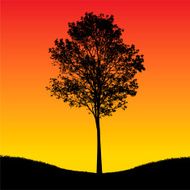 tree silhouette N86