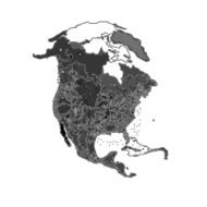 North America at night as engraving vector