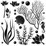 ocean plants
