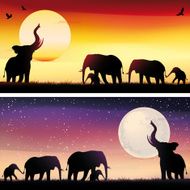 African Elephants silhouettes safari illustrations set N3