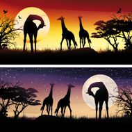 African Giraffes silhouettes safari illustrations set N3