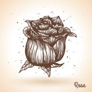 Hand drawn rose N6