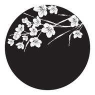 Sakura Circle N4