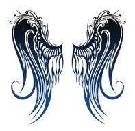 Wings N40