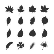 Leaf icon set N3