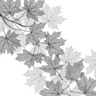 Autumn leaves monochrome template N5