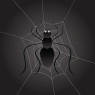 Black Spider N7