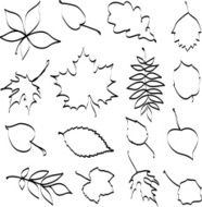 Leaves N122