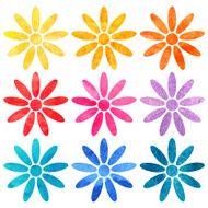 Watercolor set of rainbow daisy flowers isolated