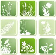 Meadow plant icons