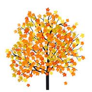 Autumn Maple Tree N8