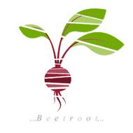 Vector of vegetable beetroot icon N2
