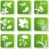 Summer plants icons