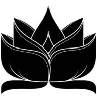Lotus Silhouette N35