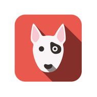 Bull terrier dog animal face ui flat design vector
