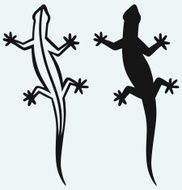 Silhouette lizard