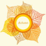 Background greeting card with stylized autumn leaves