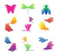 Colorful insects icon set