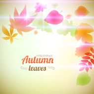 Autumn Leaves Design