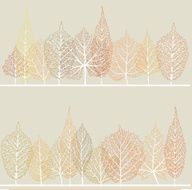 autumn forest N11