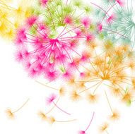 Floral spring pattern N4