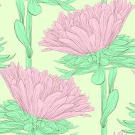 Beautiful pink flowers aster