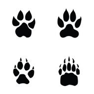 lion tiger wolf bear footprint