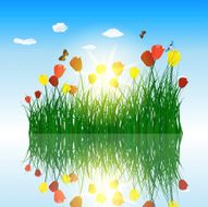 Tulips in grass with reflection water