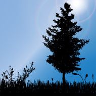 Vector silhouette of tree N50